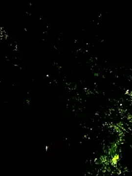 beatle666 online show from January 2026 04:16:01 AM