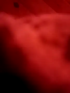 Arabian online show from February 2025 06:01:01 PM