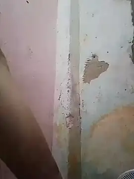 Snapshot of shuelldin chatting on February 2025 11:50:01 AM shuelldin online show from February 2025 11:50:01 AM