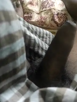 Tamil small cock online show from February 2025 06:37:02 AM