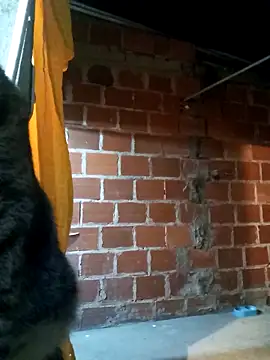 Snapshot of PECHO100 chatting on March 2025 03:08:02 AM PECHO100 online show from March 2025 03:08:02 AM