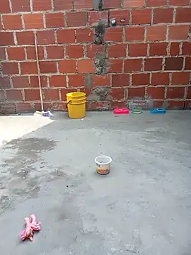 Snapshot of PECHO100 chatting on March 2025 07:32:01 PM PECHO100 online show from March 2025 07:32:01 PM