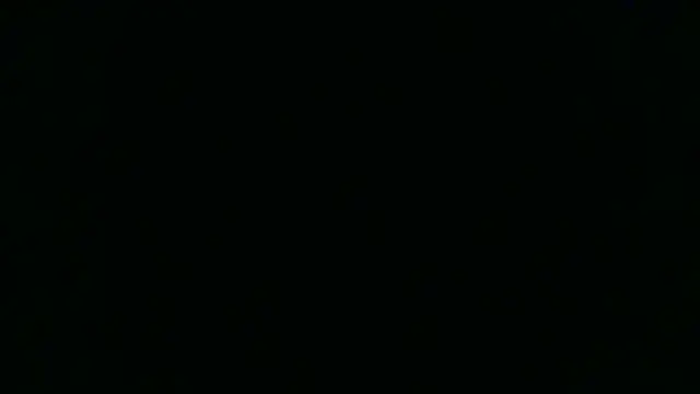 Brian Stars online show from February 2025 03:36:02 PM