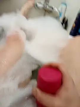 flo000031 online show from February 2026 02:57:02 PM