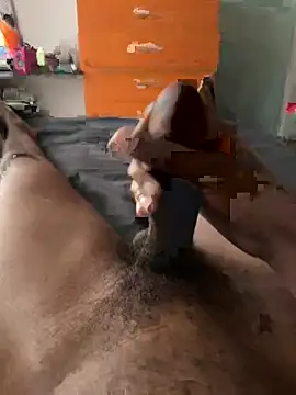 papibbc6989 online show from February 2025 04:54:01 AM