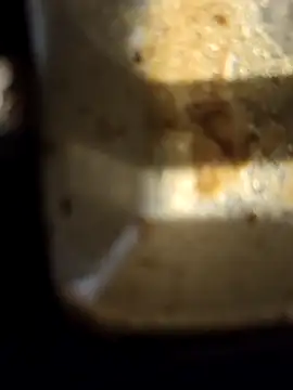 Loly2025 online show from February 2025 02:35:02 PM