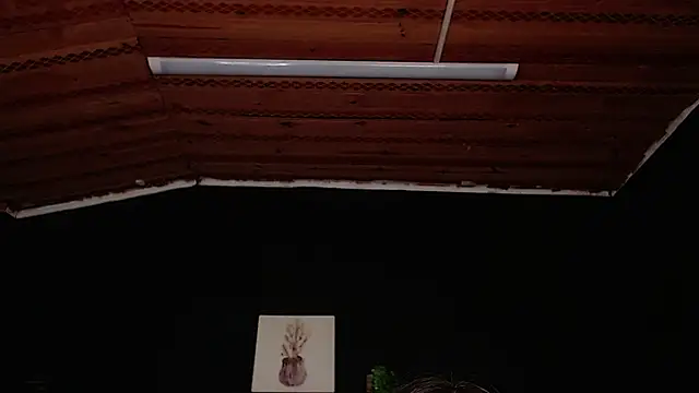 fyreandfox  online show from November 2025 06:56:02 PM