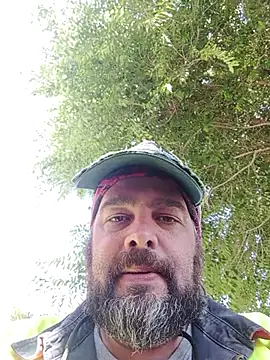 serpensy online show from May 2026 08:22:01 AM