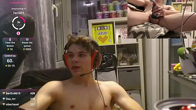 Snapshot of PainterHase chatting on February 2025 08:33:02 PM PainterHase online show from February 2025 08:33:02 PM