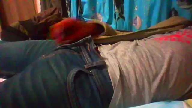TwistedR online show from August 2026 12:46:01 AM