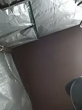 HTXBELLE online show from December 2025 02:42:01 AM