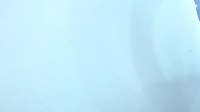 Snapshot of sebastian_colle chatting on February 2025 12:03:02 PM sebastian colle online show from February 2025 12:03:02 PM