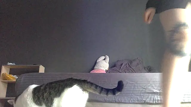 bysinka18 online show from June 2026 11:33:01 AM