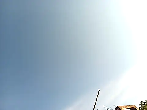 Snapshot of lilpip chatting on November 2025 04:03:02 AM lilpip online show from November 2025 04:03:02 AM