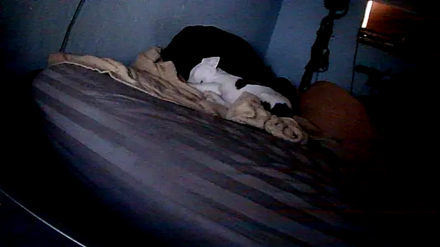 PornStro921 online show from February 2026 08:25:02 PM