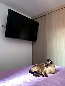 Snapshot of AshleyG_222 chatting on December 2025 04:46:02 PM AshleyG 222 online show from December 2025 04:46:02 PM