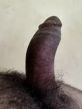 alkhabiir online show from February 2026 04:29:01 PM