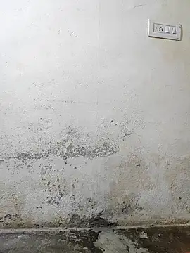 pallu telgu kannada online show from March 2026 05:30:01 PM