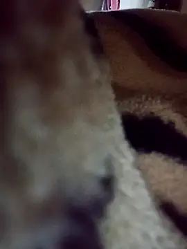 Snapshot of karabokau21 chatting on September 2025 10:25:02 PM karabokau21 online show from September 2025 10:25:02 PM