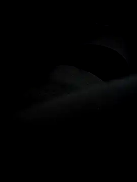 Snapshot of waldik083 chatting on December 2025 12:20:02 AM waldik083 online show from December 2025 12:20:02 AM