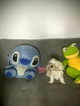 Mia cullen  online show from September 2025 08:26:01 AM