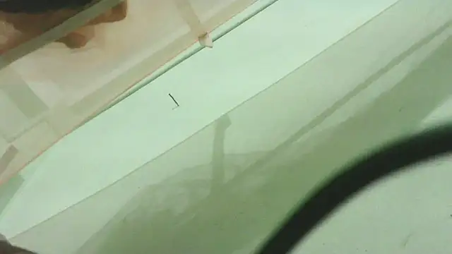 CrazyMove83 online show from February 2026 12:15:02 PM