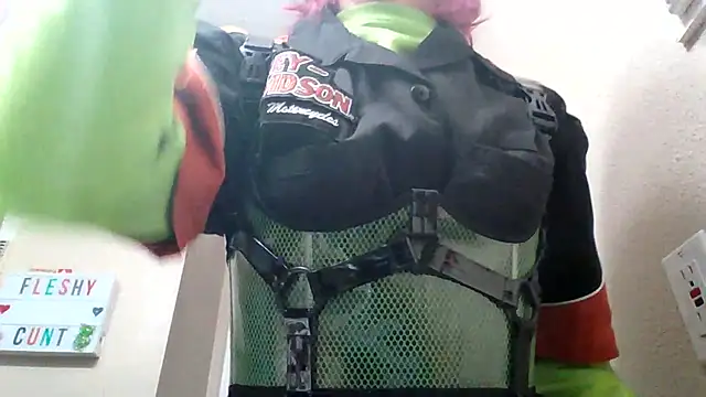 Harley cams online show from March 2025 06:23:02 PM