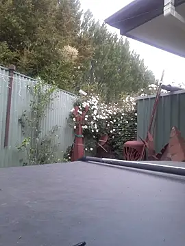 Snapshot of TAIZ69WORLD chatting on November 2025 06:24:02 AM TAIZ69WORLD online show from November 2025 06:24:02 AM