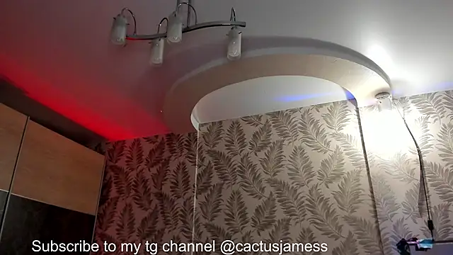 Snapshot of Cactus__James chatting on October 2025 06:07:01 PM Cactus  James online show from October 2025 06:07:01 PM