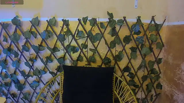 dirtyBBWplay online show from December 2025 08:14:01 PM