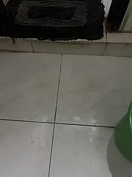 Snapshot of dilu98 chatting on September 2025 12:33:02 AM dilu98 online show from September 2025 12:33:02 AM