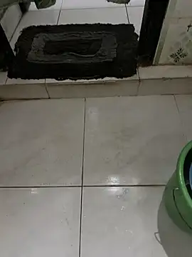 Snapshot of dilu98 chatting on December 2025 01:55:02 AM dilu98 online show from December 2025 01:55:02 AM