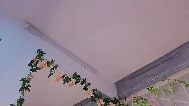 MilleyJones online show from December 2025 08:16:02 PM