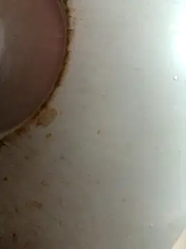 Snapshot of Dabunation chatting on October 2025 06:11:01 AM Dabunation online show from October 2025 06:11:01 AM