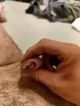 savitar2397 online show from March 2025 03:45:01 AM