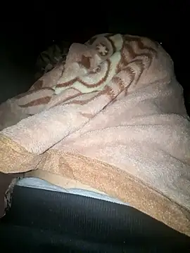 amirzinou online show from October 2025 10:58:02 PM