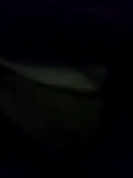 Snapshot of Hema0Hema chatting on February 2026 10:33:01 PM Hema0Hema online show from February 2026 10:33:01 PM