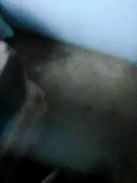 mydickbedarkandthick online show from November 2025 03:11:01 PM