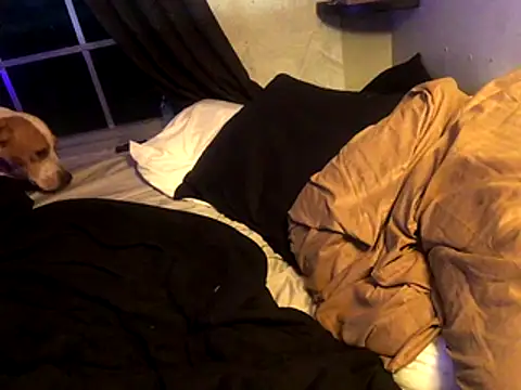 lilthicky352 online show from December 2025 12:15:02 AM