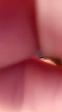 Fox Roxxan online show from September 2025 06:32:02 PM