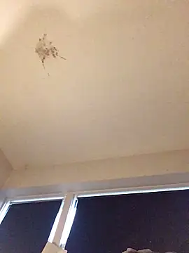 Sissy Cindy Whore online show from November 2025 02:04:01 PM