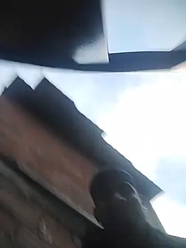 ashtoncooperr online show from December 2025 11:29:01 AM