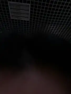 Liza Will online show from February 2026 09:00:02 AM