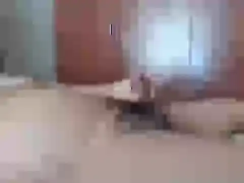 Snapshot of Culazodeantonellarocuzzo chatting on February 2026 03:44:02 PM Culazodeantonellarocuzzo online show from February 2026 03:44:02 PM