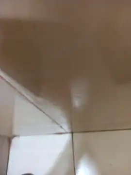 Snapshot of vboli08 chatting on October 2025 11:12:02 PM vboli08 online show from October 2025 11:12:02 PM