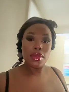 Elie-3 online show from February 2026 02:30:01 AM