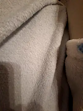 Pegasus9 online show from February 2026 09:21:02 AM