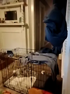 hugenicecock7979 online show from October 2025 11:34:02 PM