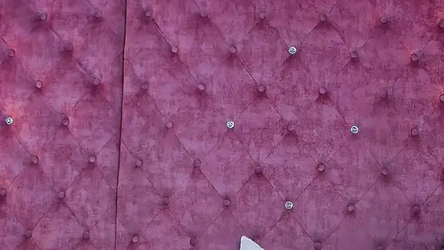 MaddisonBelucci online show from November 2025 10:31:01 PM