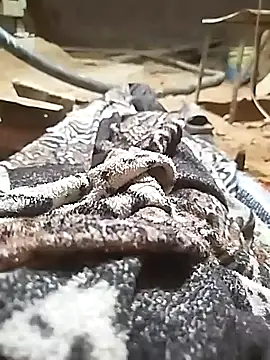 ParousFlow online show from October 2025 11:03:01 PM